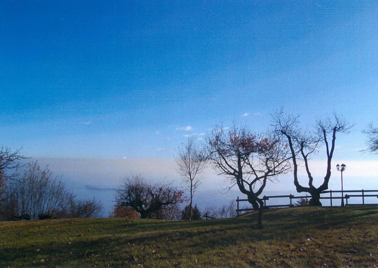 La FIOCCHINA - Magic Place - Salò - Garda Lake - countryside farmhouse, inside the middle of the lake Exterior foto